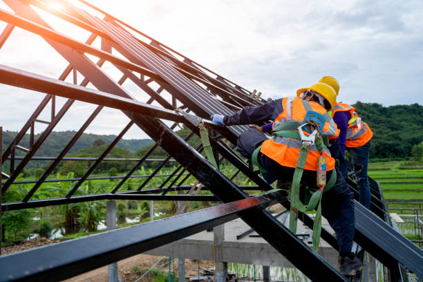 Best Roof Maintenance Services  in Fritz Creek, AK