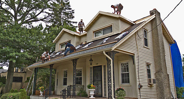 Best Roof Repair Services  in Fritz Creek, AK